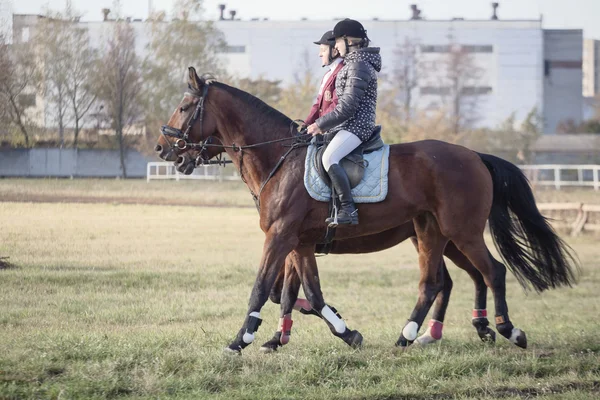 Gomel, Vitryssland - 16 oktober 2016: Två tjejer rider värma upp hästarna innan tävlingen — Stockfoto