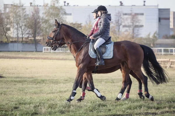 Gomel, Belarus - October 16, 2016: Two girls rider warm up the horses before the competition — Stock Photo, Image