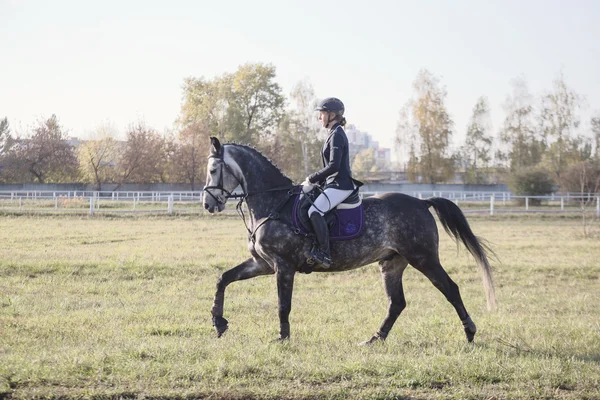 Gomel, Vitryssland - 16 oktober 2016: rider på en häst att värma upp före tävlingar — Stockfoto