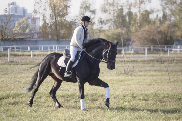 Gomel, Bielorrússia - 16 de outubro de 2016: cavaleiro em um cavalo para aquecer antes de competições — Fotografia de Stock