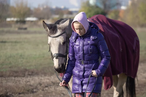 Gomel, Bělorusko - 16. října 2016: jezdec vede koně na vodítku. začátek zahřívání — Stock fotografie