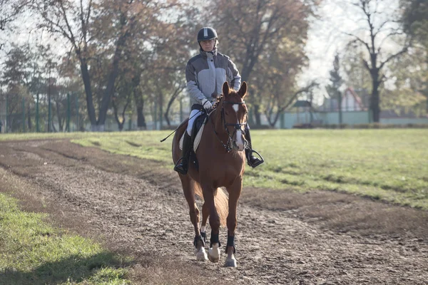 Gomel, Bielorrusia - 16 de octubre de 2016: jinete a caballo para calentar antes de las competiciones — Foto de Stock