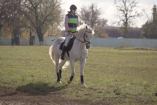 Gomel, Bielorrusia - 16 de octubre de 2016: jinete a caballo para calentar antes de las competiciones — Foto de Stock