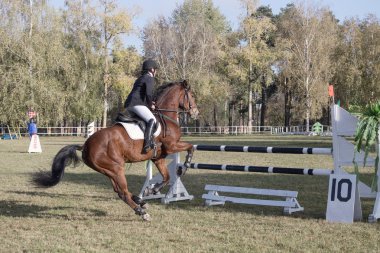 Gomel, Beyaz Rusya - 16 Ekim 2016: Olimpiyatları için Nordic kombine. 115 cm atlama.