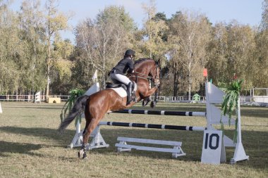 Gomel, Beyaz Rusya - 16 Ekim 2016: Olimpiyatları için Nordic kombine. 115 cm atlama.