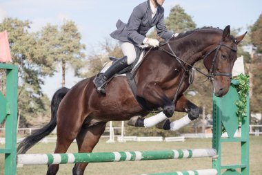Gomel, Beyaz Rusya - 16 Ekim 2016: Olimpiyatları için Nordic kombine. 115 cm atlama.