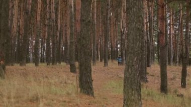 Yeşil orman, arka görüş genç adam çalıştırmak