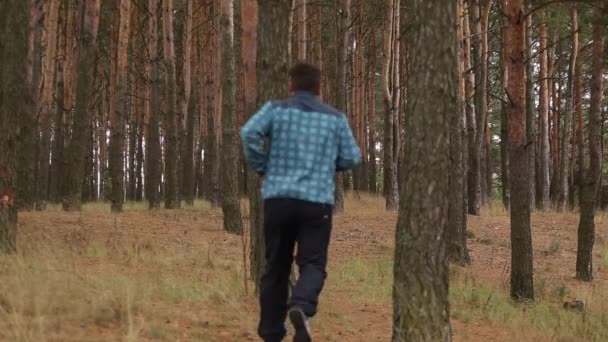 Correr jovem na floresta verde, visão traseira — Vídeo de Stock