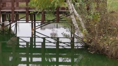 Buz üzerinde serin bir sonbahar günü düşen altın huş ağacı yaprakları.