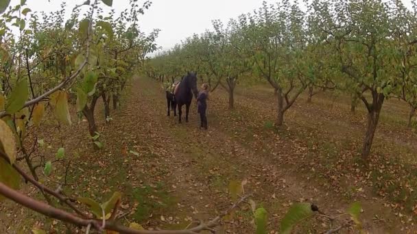 Mädchen im herbstlichen Garten mit einem schwarzen Pferd — Stockvideo