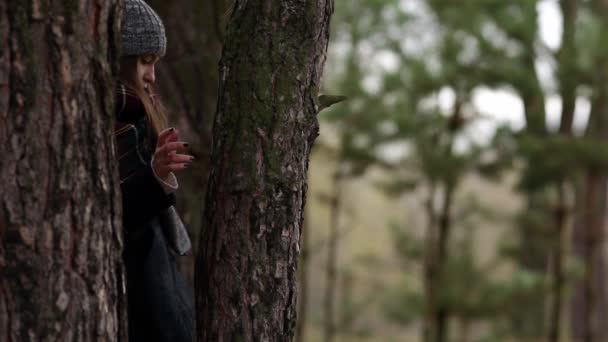 Kız bir çam koruyucu elbise sonbaharda oturuyor. — Stok video