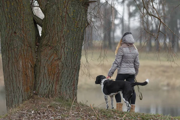 bir köpek için a yürümek sonbaharında kızla