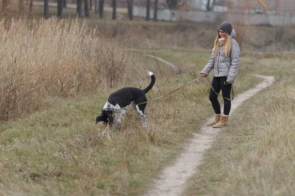 bir köpek için a yürümek sonbaharında kızla