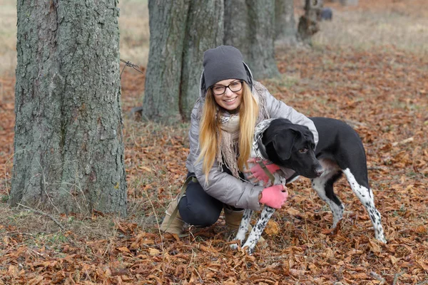 Menina com um cão para um passeio no outono — Fotografia de Stock