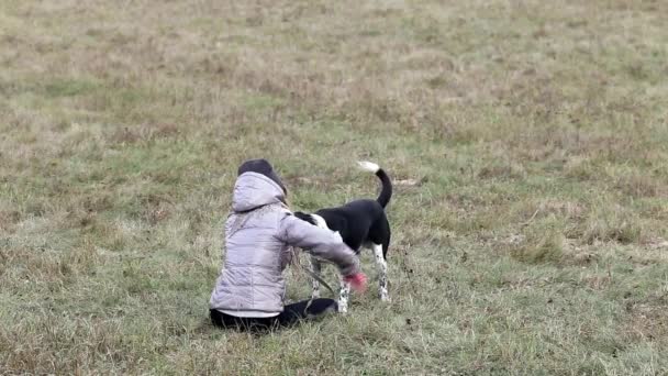 Дівчина з собакою для прогулянки восени — стокове відео