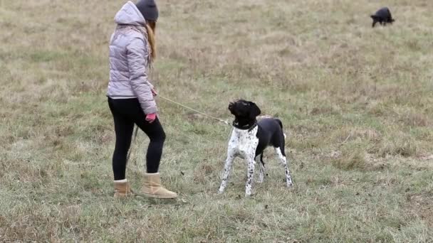 Menina com um cão para um passeio no outono — Vídeo de Stock