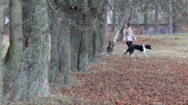 bir köpek için a yürümek sonbaharında kızla