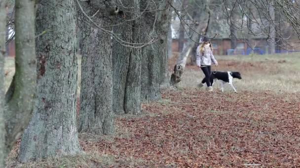 Tjej med en hund på en promenad i höst — Stockvideo