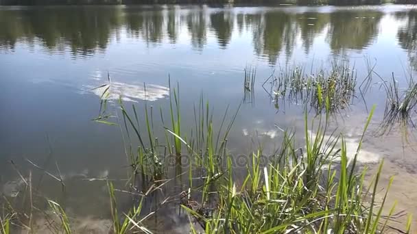 Błękitne niebo i chmury, w spokojnej wodzie jeziora — Wideo stockowe