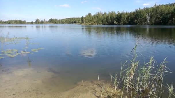 Blå himmel och moln i det lugna vattnet i sjön — Stockvideo