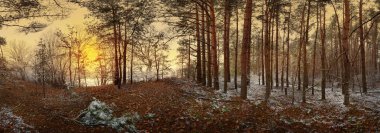 çam ormanı yakınındaki nehrin ilk karda