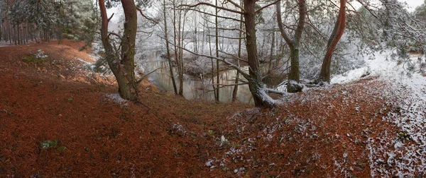 Pierwszy śnieg w sosnowym lesie, w pobliżu strumienia — Zdjęcie stockowe