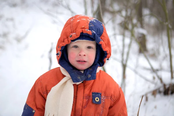 Portret van een jongen van 3 jaar oud met rode wangen van de kou — Stockfoto