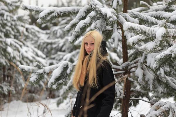 Menina em uma floresta de inverno nevado. favela — Fotografia de Stock