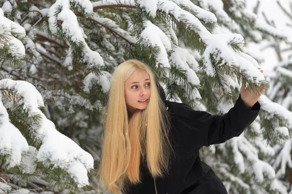 Κορίτσι σε ένα χειμώνα χιονισμένο δάσος. φτωχογειτονιά — Φωτογραφία Αρχείου