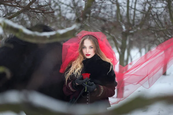 Hermosa mujer con un caballo negro en invierno. con una rosa roja en un velo rojo — Foto de Stock