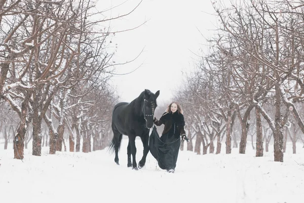 Koně a dívka v zimě lese — Stock fotografie