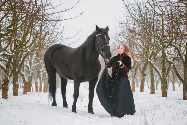 Koně a dívka v zimě lese — Stock fotografie