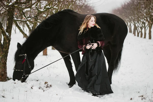 Koně a dívka v zimě lese — Stock fotografie