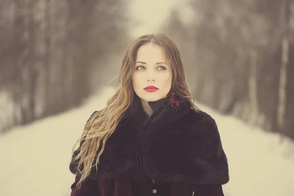 Retrato de invierno de una chica con el pelo largo — Foto de Stock