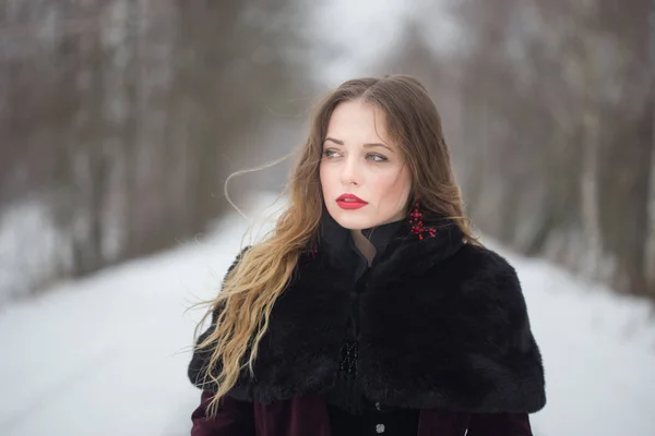 Retrato de invierno de una chica con el pelo largo — Foto de Stock