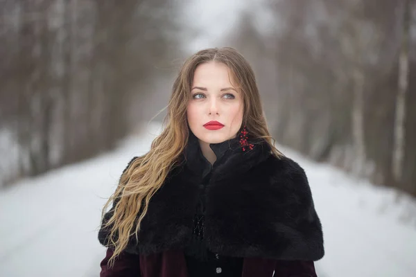 Retrato de invierno de una chica con el pelo largo — Foto de Stock