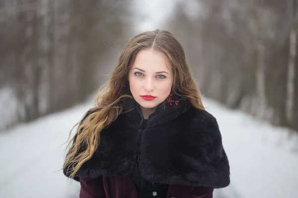 Χειμώνα πορτρέτο ενός κοριτσιού με μακριά μαλλιά — Φωτογραφία Αρχείου
