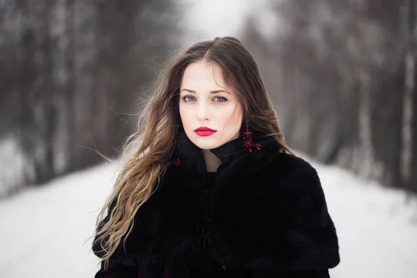 Retrato de invierno de una chica con el pelo largo — Foto de Stock