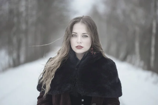 Retrato de inverno de uma menina com cabelo longo — Fotografia de Stock