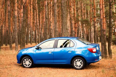 Gomel, Belarus - 18 Ekim 2016: doğa zemin üzerine mavi araba.