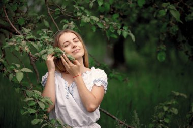 Bir elma ağacı elma toplama üzerine bir merdiven üzerinde genç kadın