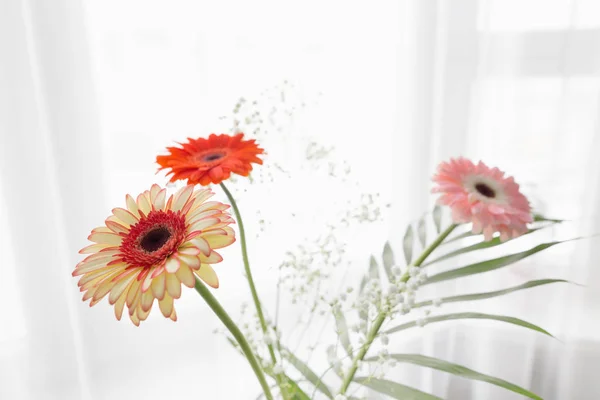 Gerbera belas flores em um fundo branco . — Fotografia de Stock