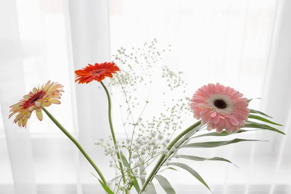 Gerbera belas flores em um fundo branco . — Fotografia de Stock