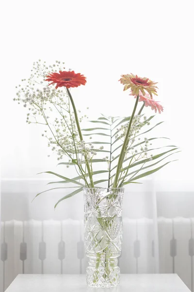 Gerbera schöne Blumen auf weißem Hintergrund. — Stockfoto