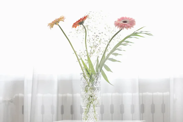 Gerbera schöne Blumen auf weißem Hintergrund. — Stockfoto