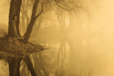 Sis su sabahın erken saatlerinde Bahar üzerinde.