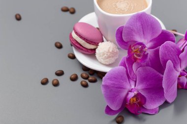 Orkide ve beyaz fincan kahve gri bir arka plan üzerinde