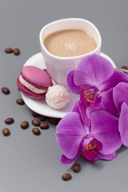Orkide ve beyaz fincan kahve gri bir arka plan üzerinde