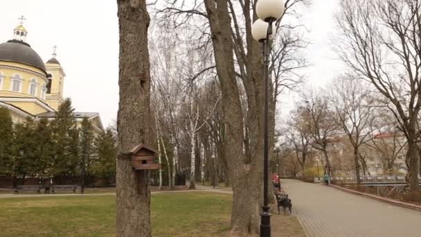 GOMEL, BELARUS - 29 juillet 2016 : Vue panoramique dans le Parc Ensemble du Palais Gomel des Roumiantsevs et des Paskevichs . — Video