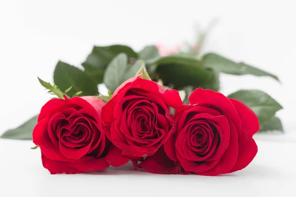 Rote Rosen auf weißem Hintergrund. isolieren — Stockfoto